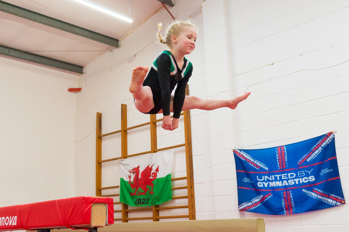 All Squads Gymnastics